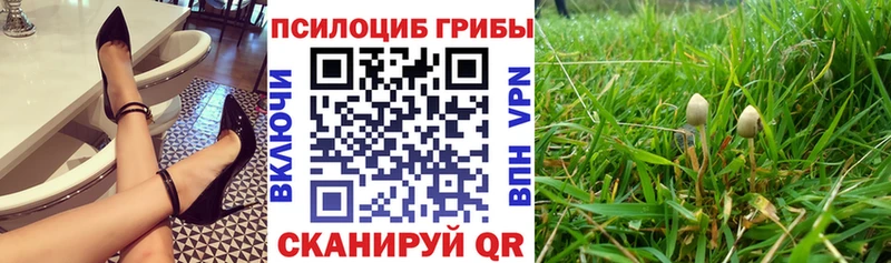 Псилоцибиновые грибы мухоморы  купить  цена  Пионерский 